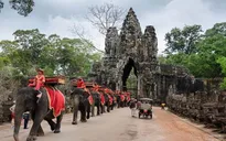 Campuchia cấm sử dụng voi phục vụ du khách tại đền Angkor Wat