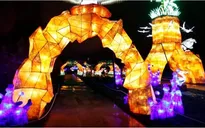 Rực rỡ sắc màu lễ hội ánh sáng nâng cao nhận thức bảo vệ biển