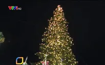 Vienna thắp sáng cây thông Noel