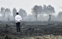 Mức phạt đối với các công ty gây cháy rừng tại Indonesia