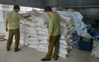 Tây Ninh tạm giữ gần 13 tấn đường cát nghi nhập lậu