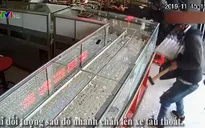 TP.HCM: Báo động tình trạng cướp giật hoành hành trở lại