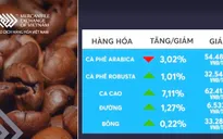 Tổng hợp thị trường hàng hóa tuần 11/11 đến 17/11