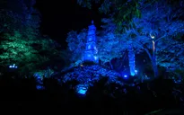 Năm 2019 - Năm đầu tiên Việt Nam thắp sáng màu xanh vì quyền trẻ em