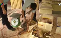 Nạn săn bắt thú rừng hoang dã diễn ra phổ biến
