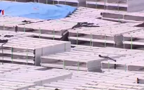 1,8 triệu tấn nhôm Trung Quốc suýt xuất khẩu sang Mỹ dưới mác hàng Việt Nam