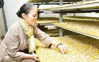 Trải nghiệm di sản Hà Nội với chuỗi sự kiện văn hóa Tiếng Tơ