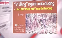 "Vị đắng" ngành mía đường