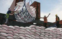 Tổng thống Philippines ra lệnh ngừng nhập khẩu gạo