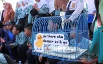 Học sinh Indonesia nuôi gà để… cai nghiện smartphone