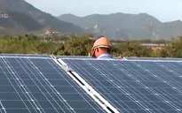 Sẽ đầu thầu xác định giá bán điện Mặt trời