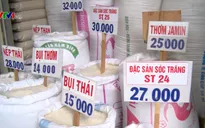 Gạo đạt giải ngon nhất thế giới khan hiếm ở thị trường trong nước