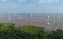 Cánh đồng điện gió - điểm đến không thể bỏ lỡ