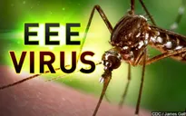 Virus viêm não do muỗi lây lan rộng ở Michigan, Mỹ