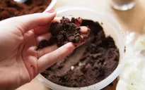 Ngạc nhiên với công dụng hữu ích từ bã cà phê