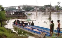 Gia tăng buôn lậu lợn ở biên giới Tây Nam