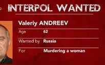 Interpol phát lệnh truy nã toàn cầu đối với 8 đối tượng
