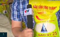 Để không mua nhầm gạo ST25 "dỏm"