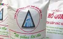 Nỗi niềm từ danh hiệu gạo ngon nhất thế giới