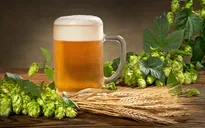 Phát hiện "thần dược" đẩy lùi cao huyết áp, tiểu đường trong... bia