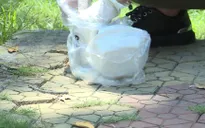 Du khách đến thăm công viên ở Thái Lan phải mang theo túi đựng rác