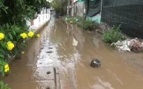 Bạc Liêu tràn ngập bùn đất sau triều cường