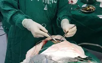 Phẫu thuật cấp cứu thành công 3 bệnh nhân bị đạn bắn