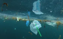 Canada: TP Vancouver cấm sử dụng ống hút nhựa và túi nylon từ năm 2020