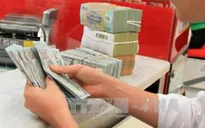 Giá USD tại các ngân hàng đồng loạt giảm mạnh