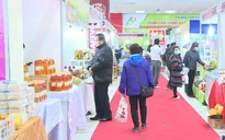 Hơn 250 gian hàng tham gia Hội chợ nông sản thực phẩm Tết Canh Tý 2020
