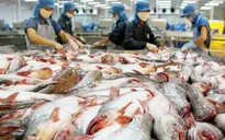 Thuế chống bán phá giá cá tra Việt Nam vào Mỹ giảm mạnh