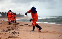 Phát hiện vết dầu loang tại các rạn san hô ở Brazil