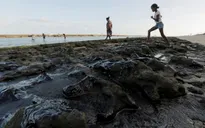 Brazil khắc phục sự cố dầu loang nghiêm trọng