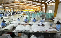 Tháng 11, chỉ số sản xuất toàn ngành công nghiệp có dấu hiệu tăng chậm lại
