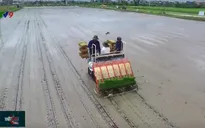 Cơ giới hóa gieo cấy lúa: Không thể chần chừ