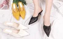 Vì sao giày mũi nhọn không bao giờ lỗi mốt?