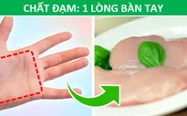 Mẹo hay: Xác định lượng thức ăn phù hợp với cơ thể chỉ bằng…bàn tay