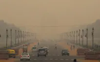 Không khí ô nhiễm mức kỷ lục, học sinh New Delhi được nghỉ học