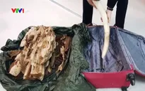 Bắt vụ vận chuyển hàng cấm qua đường hàng không