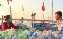 Nhặt rác trên biển từ những tàu cá