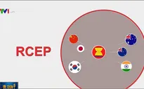 Ấn Độ quyết định không tham gia Hiệp định RCEP