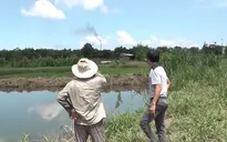 Hàng trăm hộ dân bị ảnh hưởng mùi hôi thối từ khu xử lý chất thải