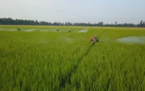 Gom rác đổi quà ở ĐBSCL