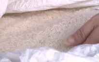 Thái Lan tiếp tục hỗ trợ nông dân bình ổn giá thóc gạo