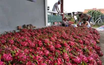 Giá trị thương hiệu quốc gia của Việt Nam tăng thêm 12 tỷ USD