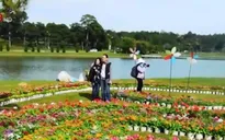 Chi hơn 6 tỷ đồng chỉnh trang đô thị phục vụ Festival Hoa Đà Lạt 2019