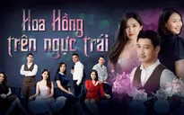 Thưởng thức ca khúc nhạc phim "Hoa hồng trên ngực trái" qua giọng hát ngọt ngào của Thùy Chi