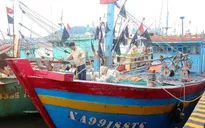 Tỷ lệ nợ xấu cho vay đóng tàu theo Nghị định 67 là 33%