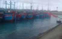Tàu cá ở Trường Sa vào nơi tránh trú an toàn