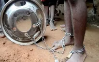 Nigeria giải cứu 259 người bị giam giữ tại trung tâm giáo dưỡng Hồi giáo